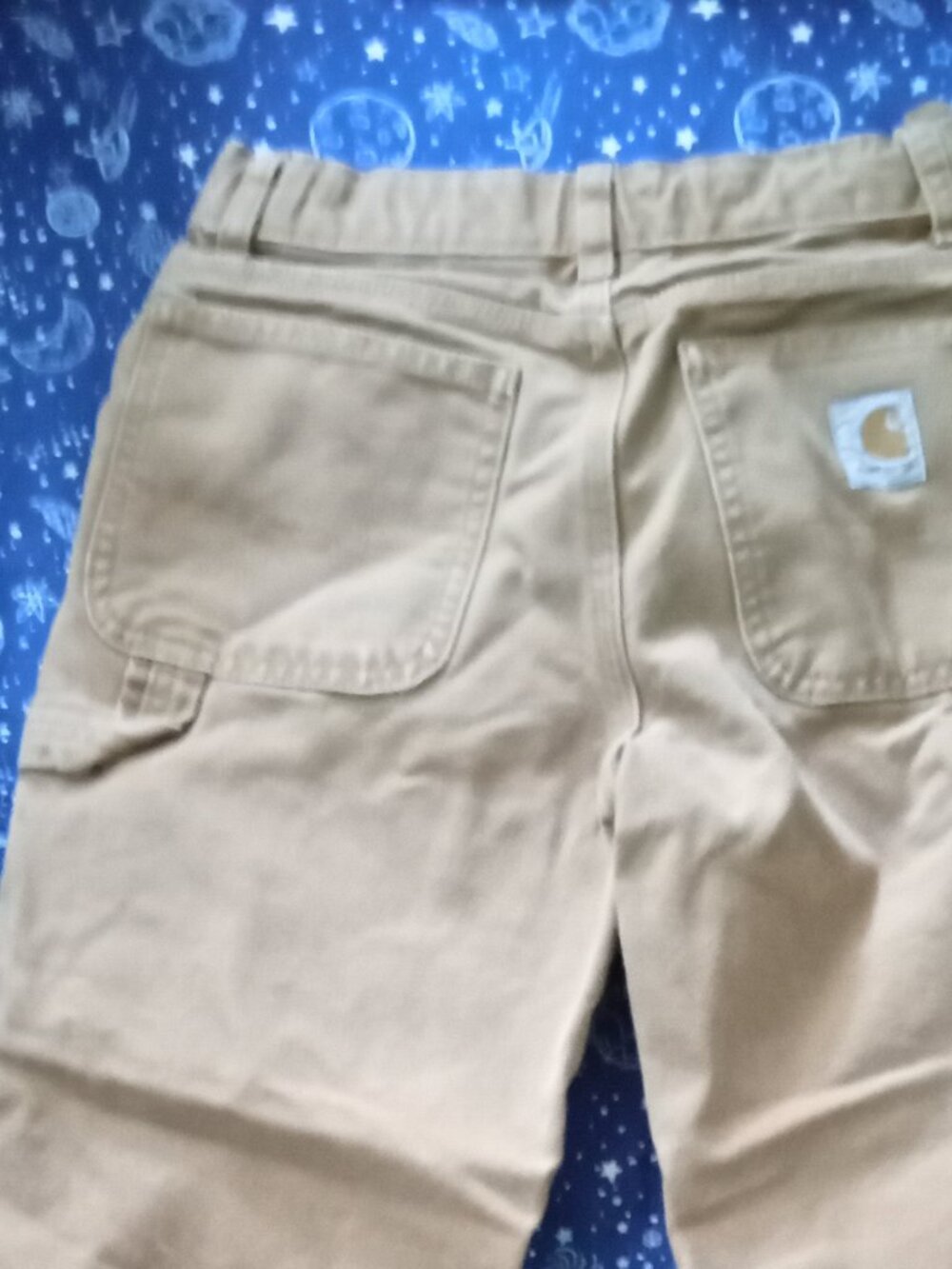 Carhartt boys  pants size 10